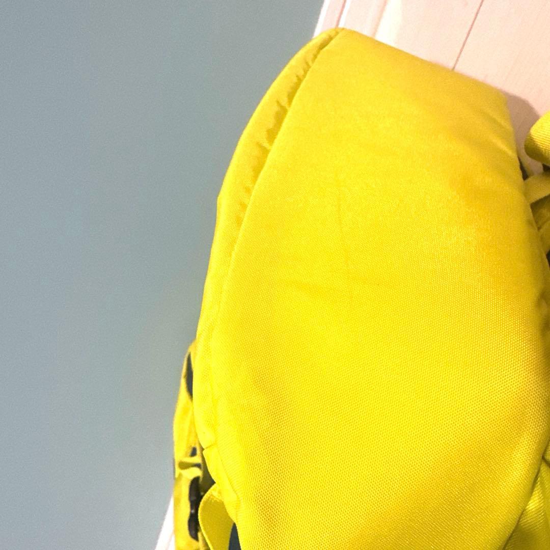 美品 パタゴニア スノードリフターザック 30リットル