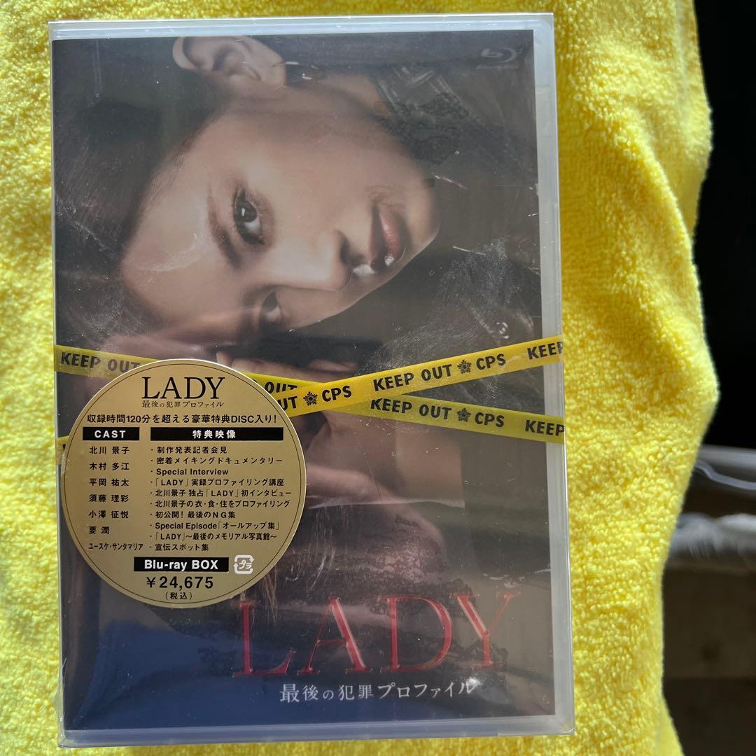 LADY～最後の犯罪プロファイル～ Blu-ray BOX〈6枚組〉