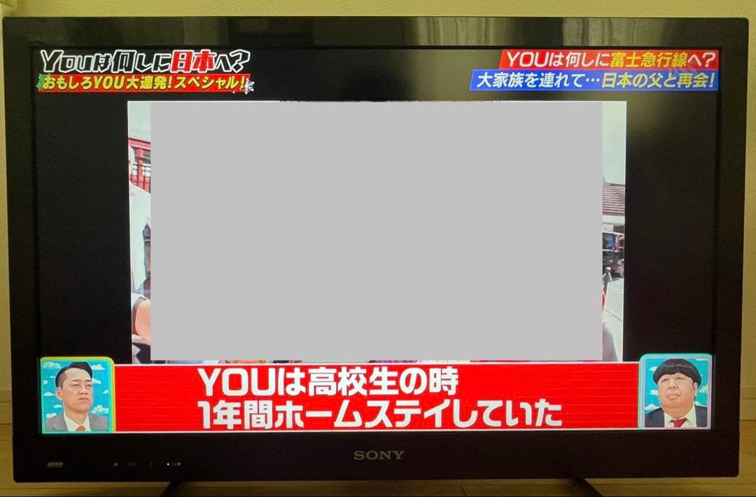 テレビ SONY BRAVIA KDL-32EX42H