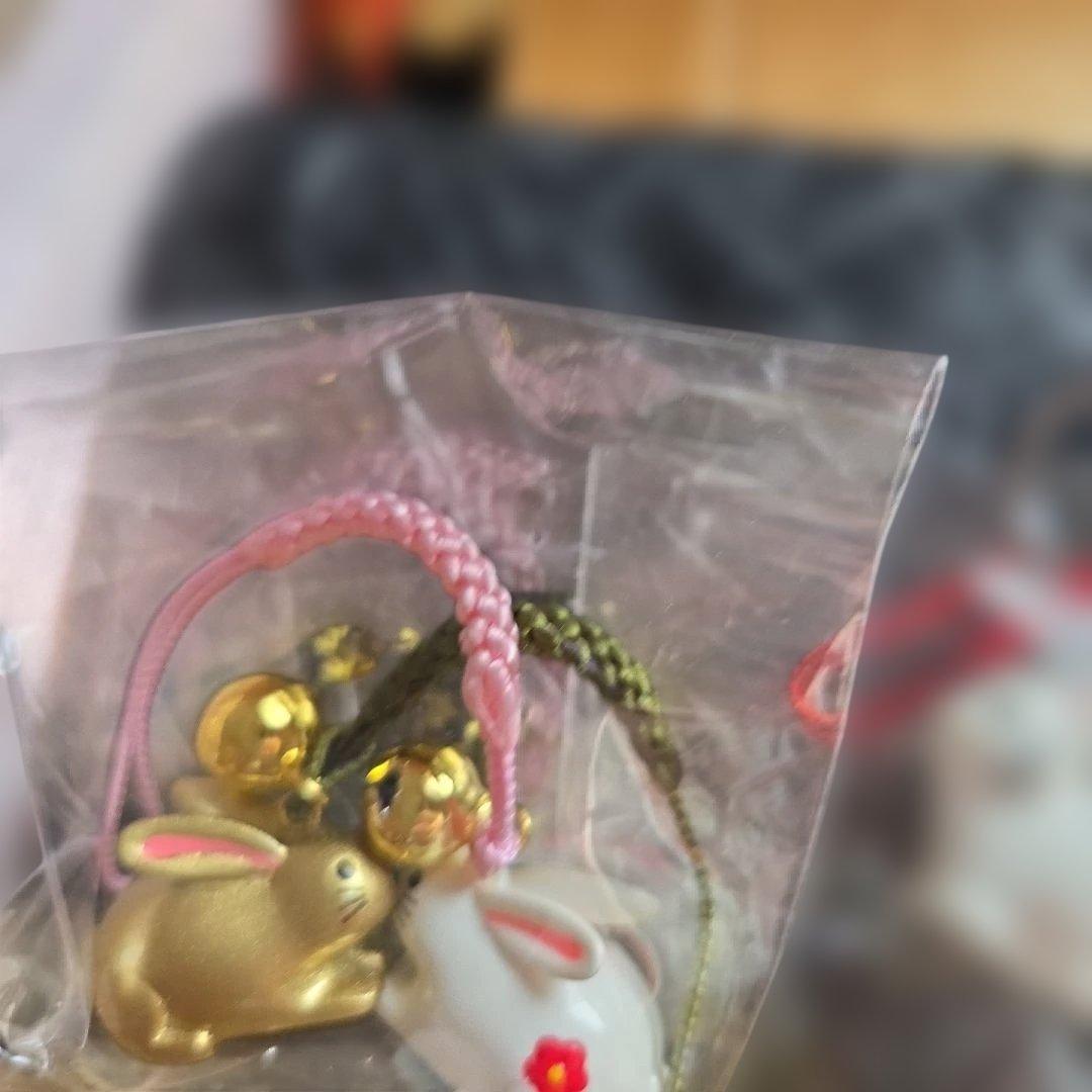 お宝ポーチ長野いづみ　クロコ長財布開運引き寄せ