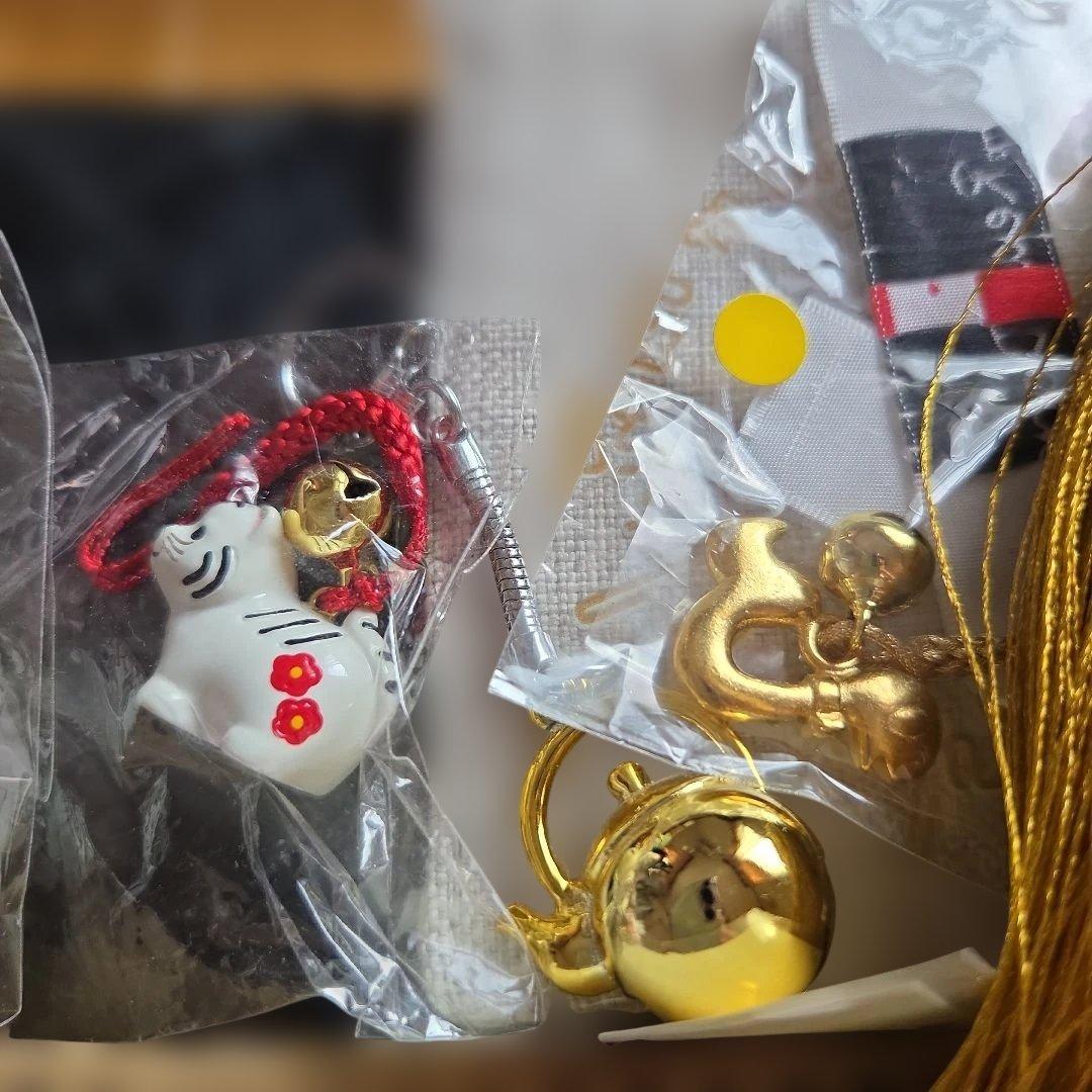 お宝ポーチ長野いづみ　クロコ長財布開運引き寄せ