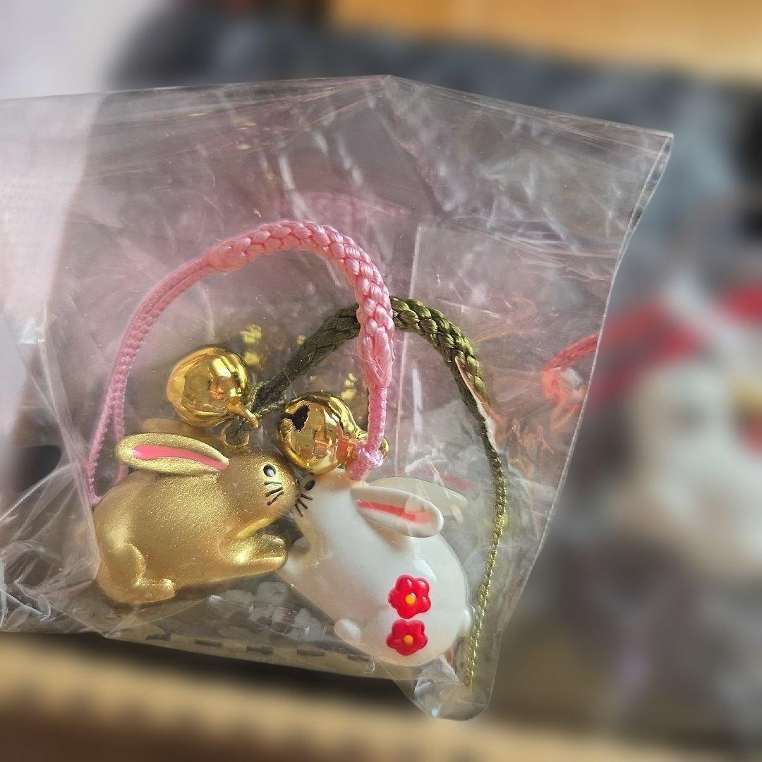 お宝ポーチ長野いづみ　クロコ長財布開運引き寄せ