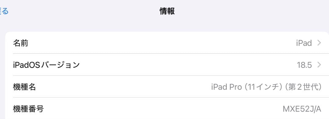 iPad本体 1030iPadPro256GB Wi-Fi+Cellular