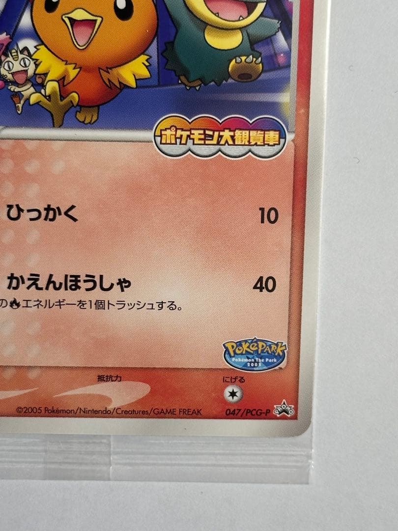 未開封　ポケパークのアチャモ　ポケモンカード