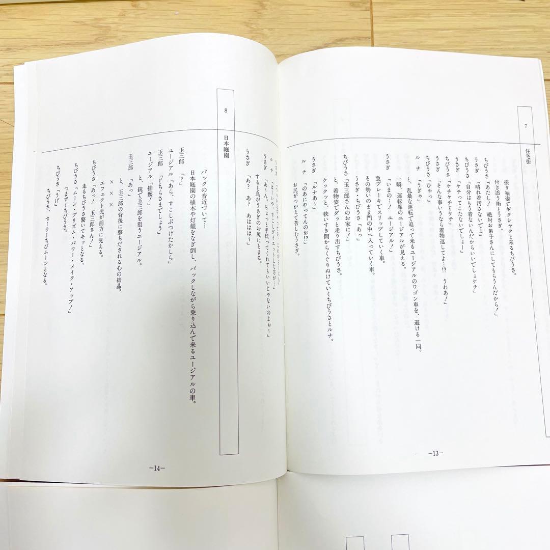 美少女戦士　セーラームーン　第92話　第104話