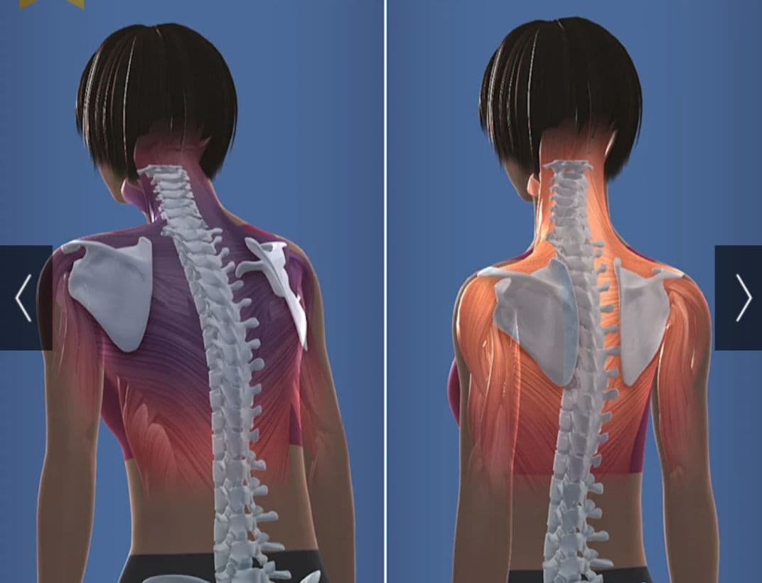 美品 マッサージ スリムビューティパット カバー付き