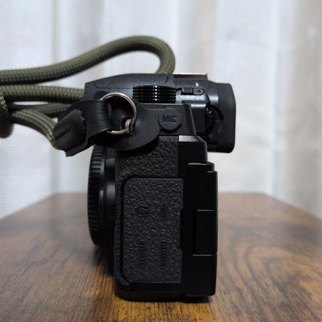 LUMIX　G99M2　ボディ