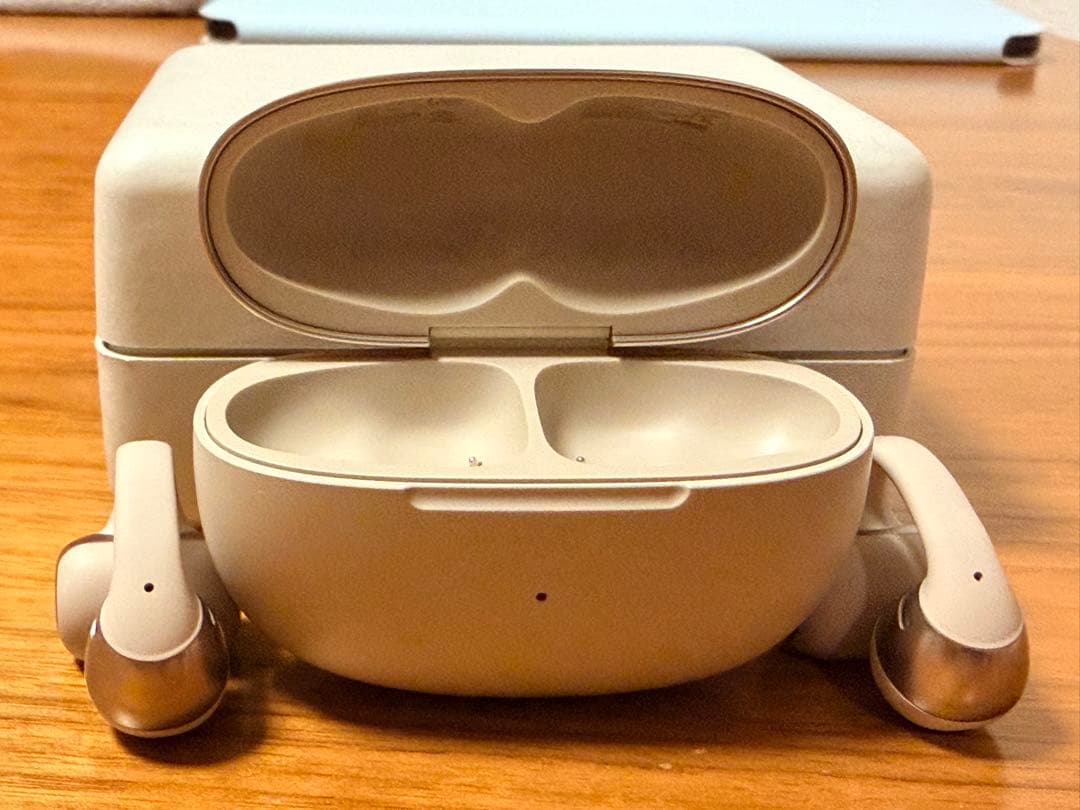 イヤホン SHOKZ OPENDOTS ONE