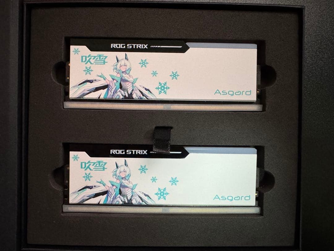 Asgard ROG DDR5 CL-34 7200Mhz 32GB メモリ