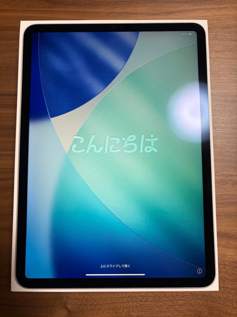 [最終値下げ価格]美品iPad Pro 11インチ256GB Wifi