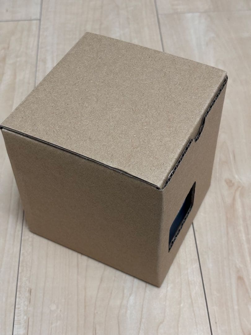 時計 G-SHOCK DW-5600STT-1JR Stranger Things