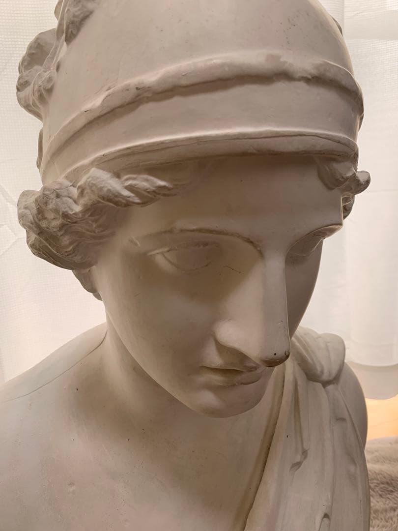 石膏像　デッサン　胸像　アマゾン