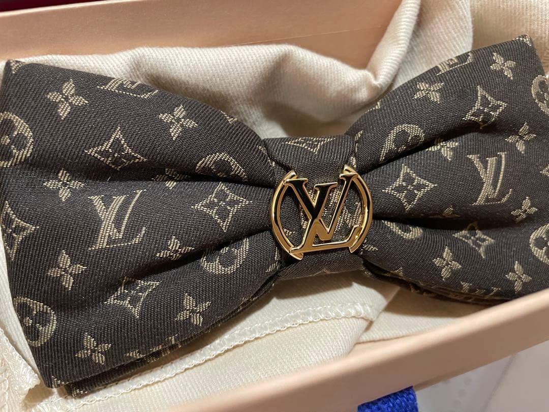 LOUIS VUITTON ヘア バレッタ