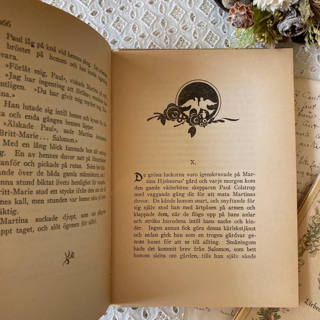 L901洋書古書1923年エイナルネイマンが挿絵を添えた希少なアンティークブック