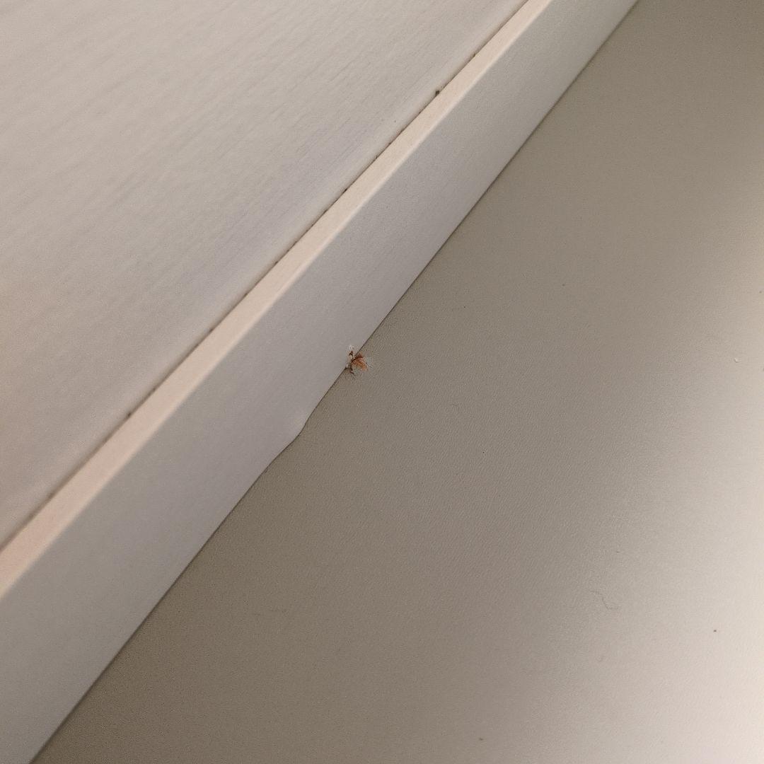 姫　　ホワイト 木製 3段チェスト