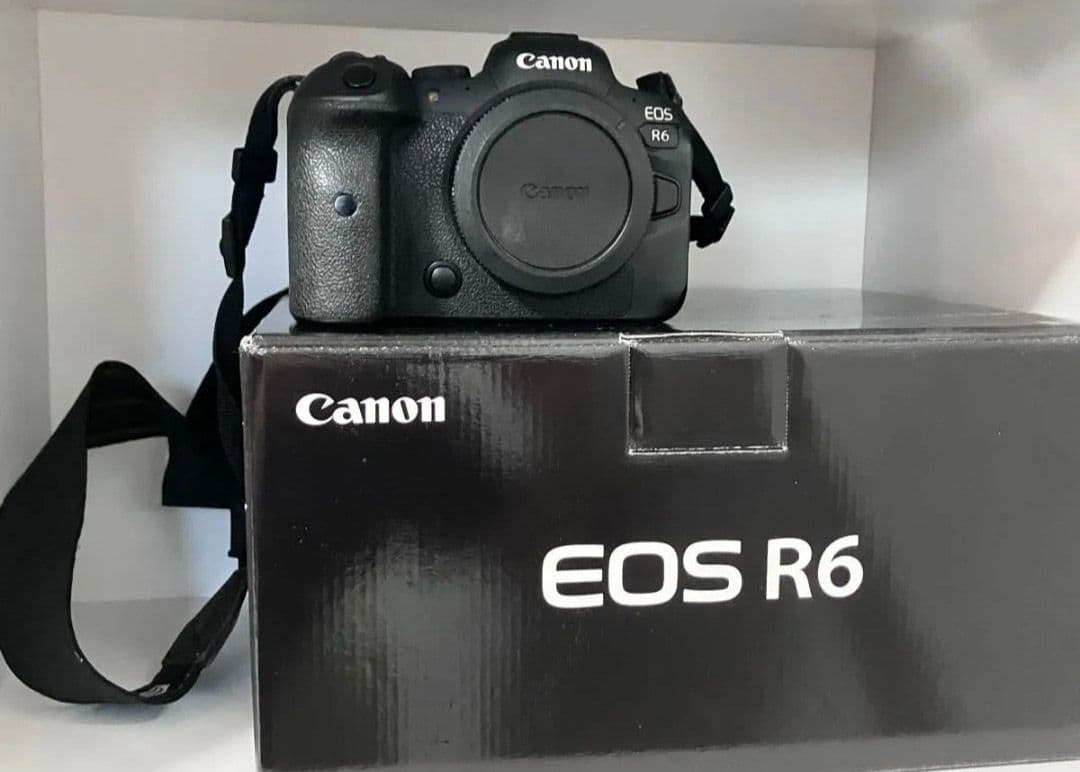 キヤノン CANON EOS R6