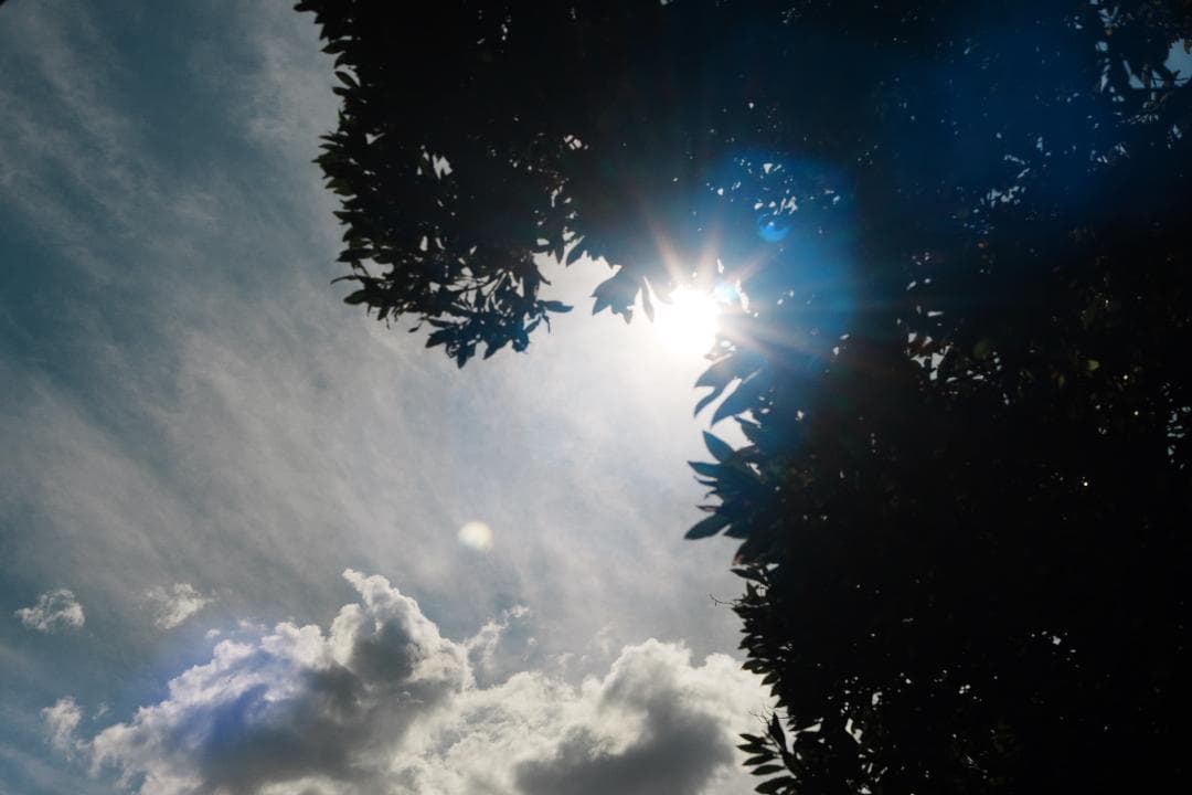 泡のようなボケで日常に彩り FUJINON 55mm F2.2 666