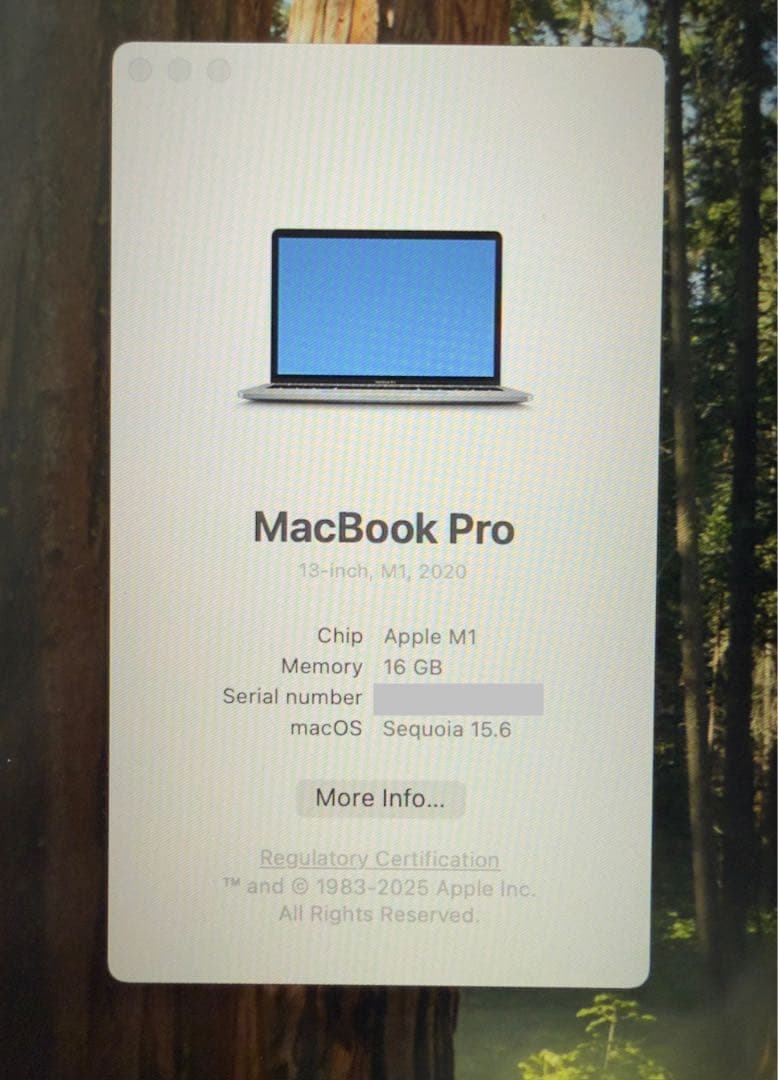 Apple MacBook Pro M1 16GB 512GB 英語キーボード