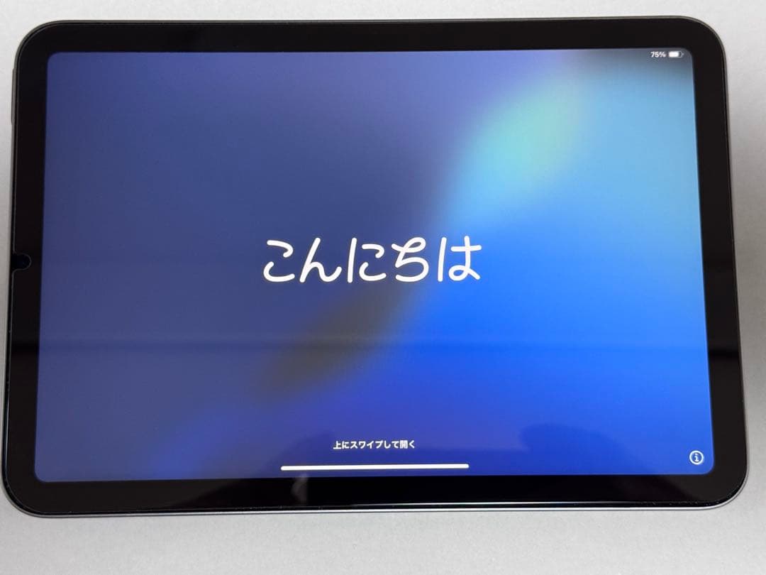 iPad mini 7 Wi-Fi 128GBスペースグレイ バッテリー100%