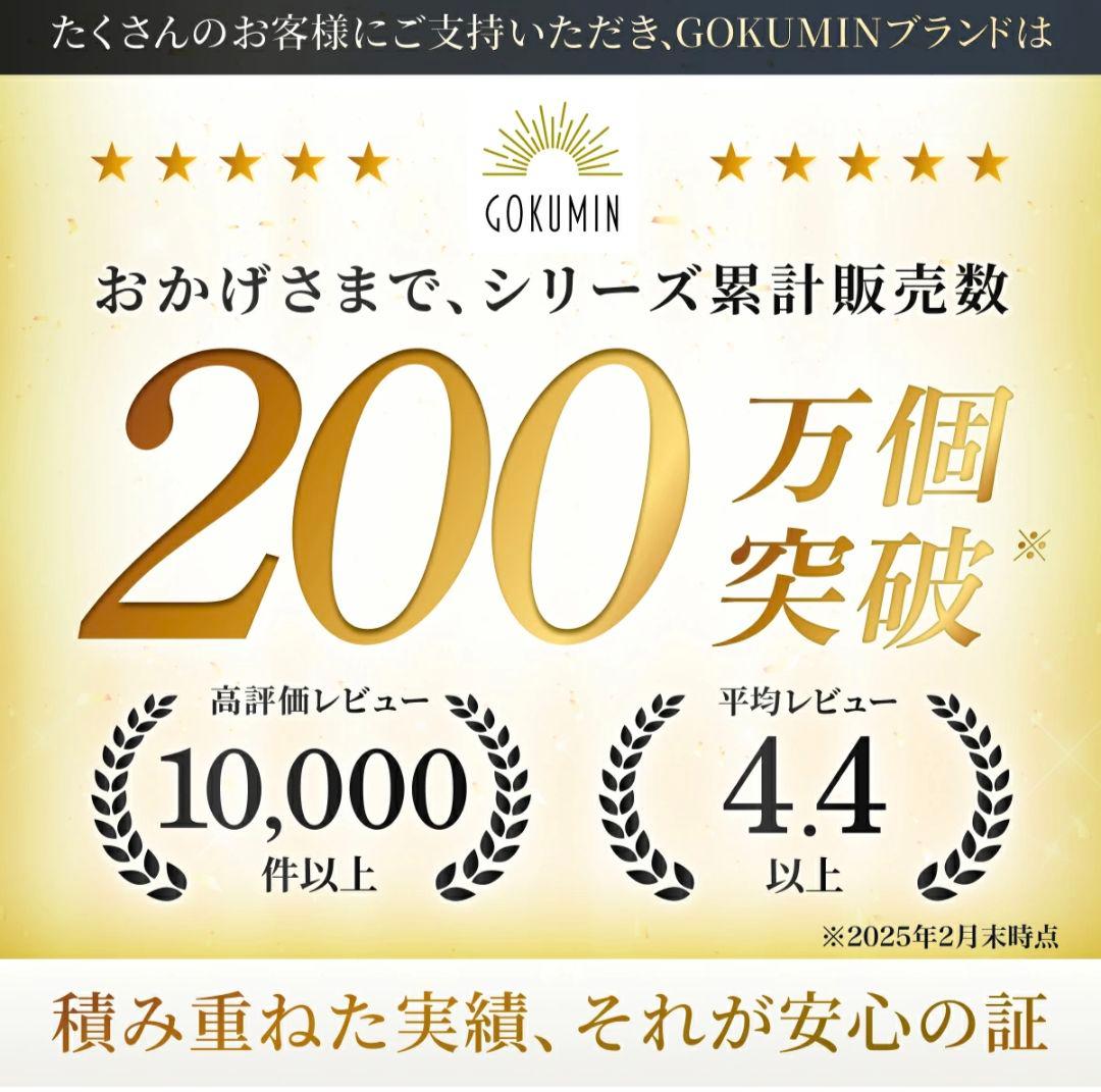 GOKUMIN ゴクミン 高反発マットレス セミシングル 5cm