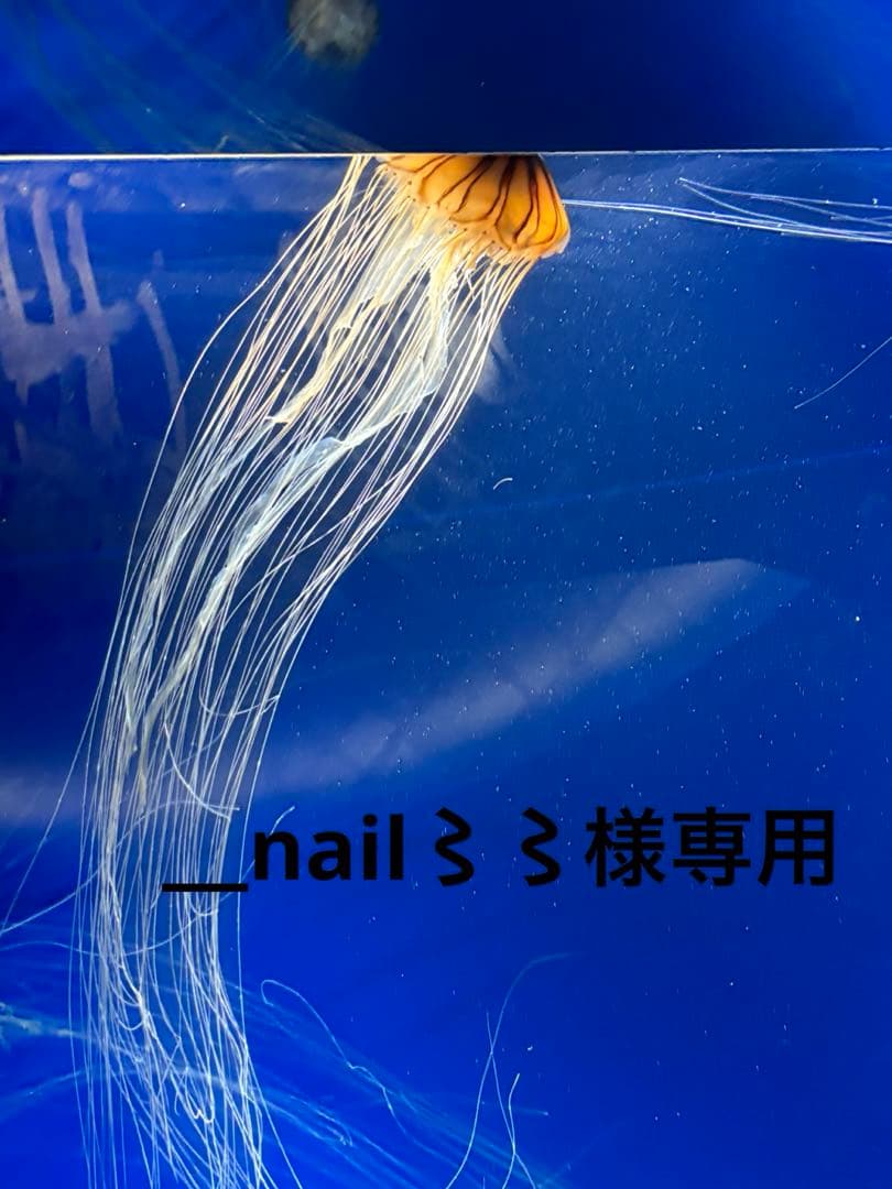 ＿nail〻〻
