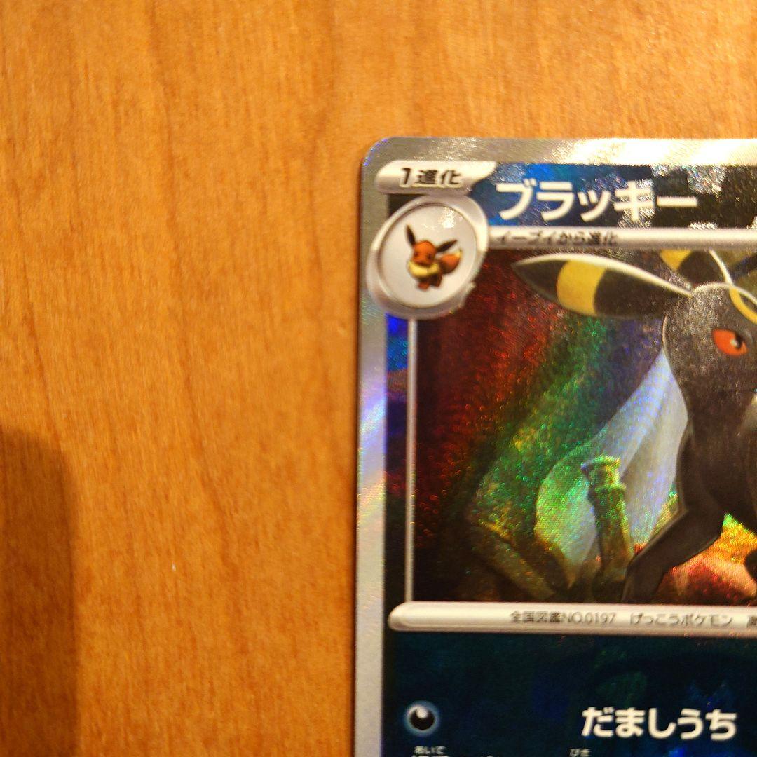 【美品】テラスタルフェスexブラッキー マスターボール SV8a 092/187