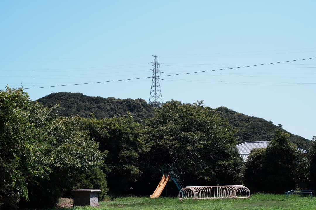 整備済 Carl Zeiss Planar 50mm F1.4 AEJ 356