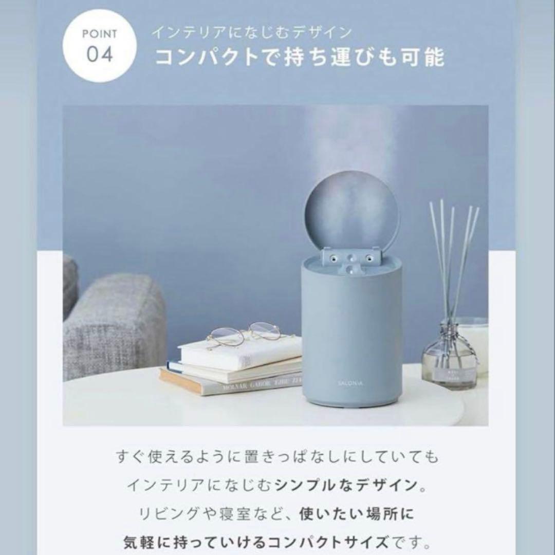 新品　SALONIA ピュアブライトスチーマー（型番 SAL22207SL）