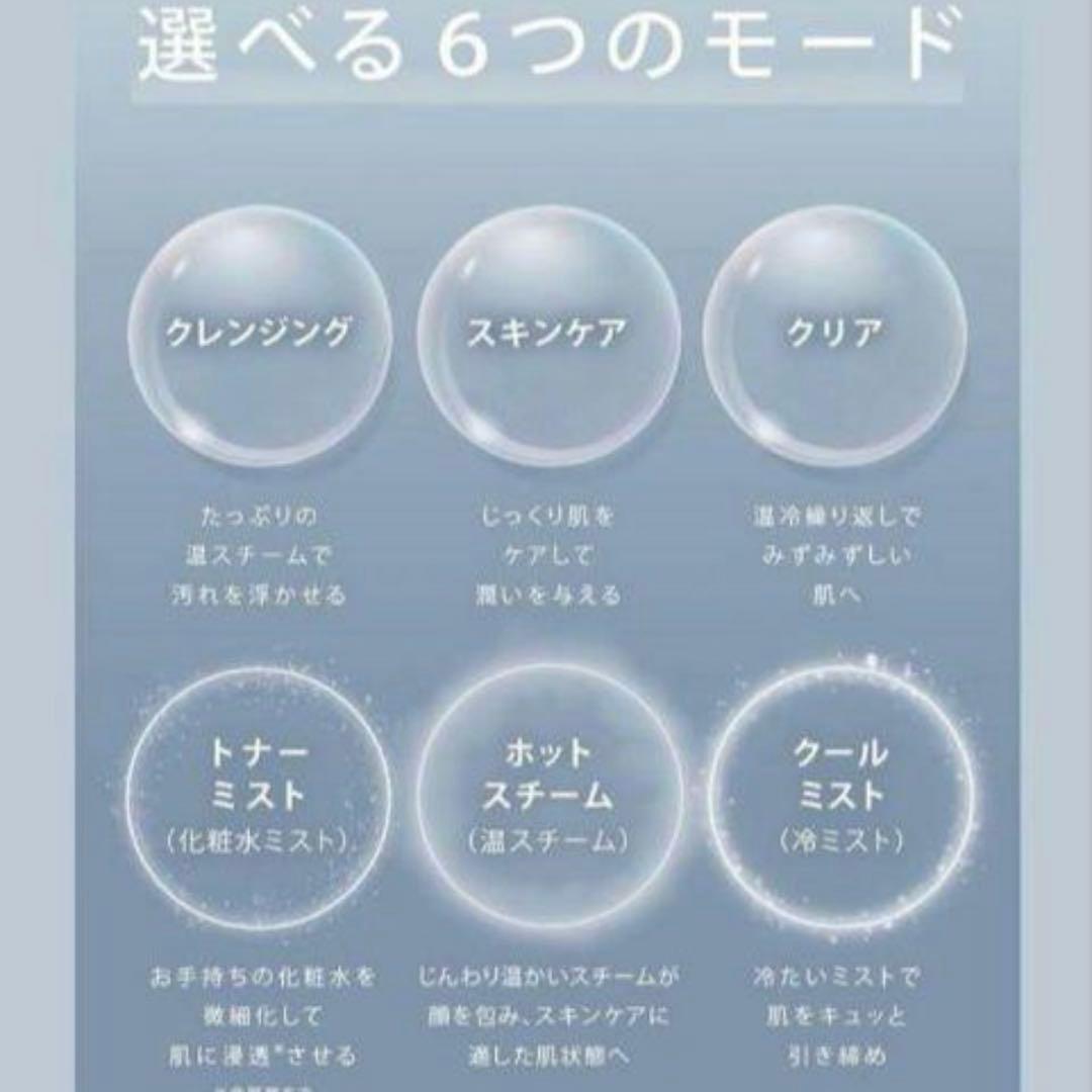 新品　SALONIA ピュアブライトスチーマー（型番 SAL22207SL）