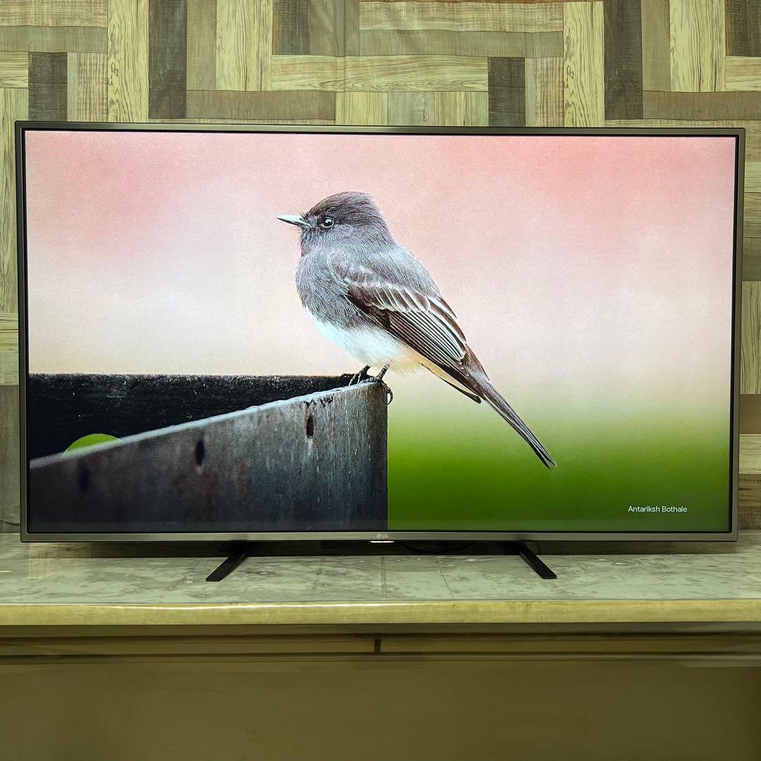即日受渡❣️全国送料込LGエレクトロニクス 4K液晶55V型TVネットアプリ搭載