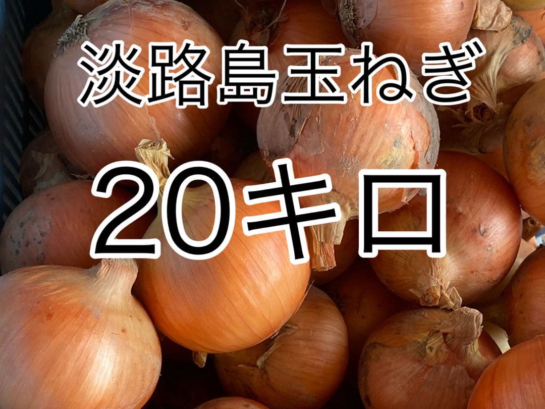 20キロ淡路島玉ねぎ