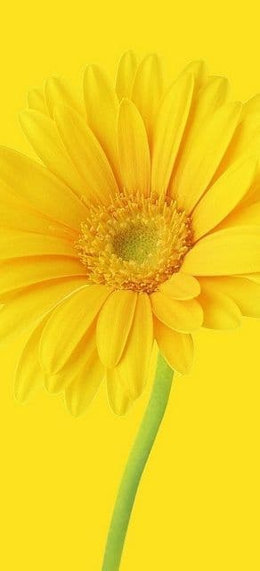 アミ専用ページ