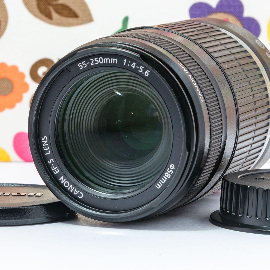⭐️キャノンCanon EF-S 55-250 mm⭐️手ブレ補正望遠レンズ⭐️