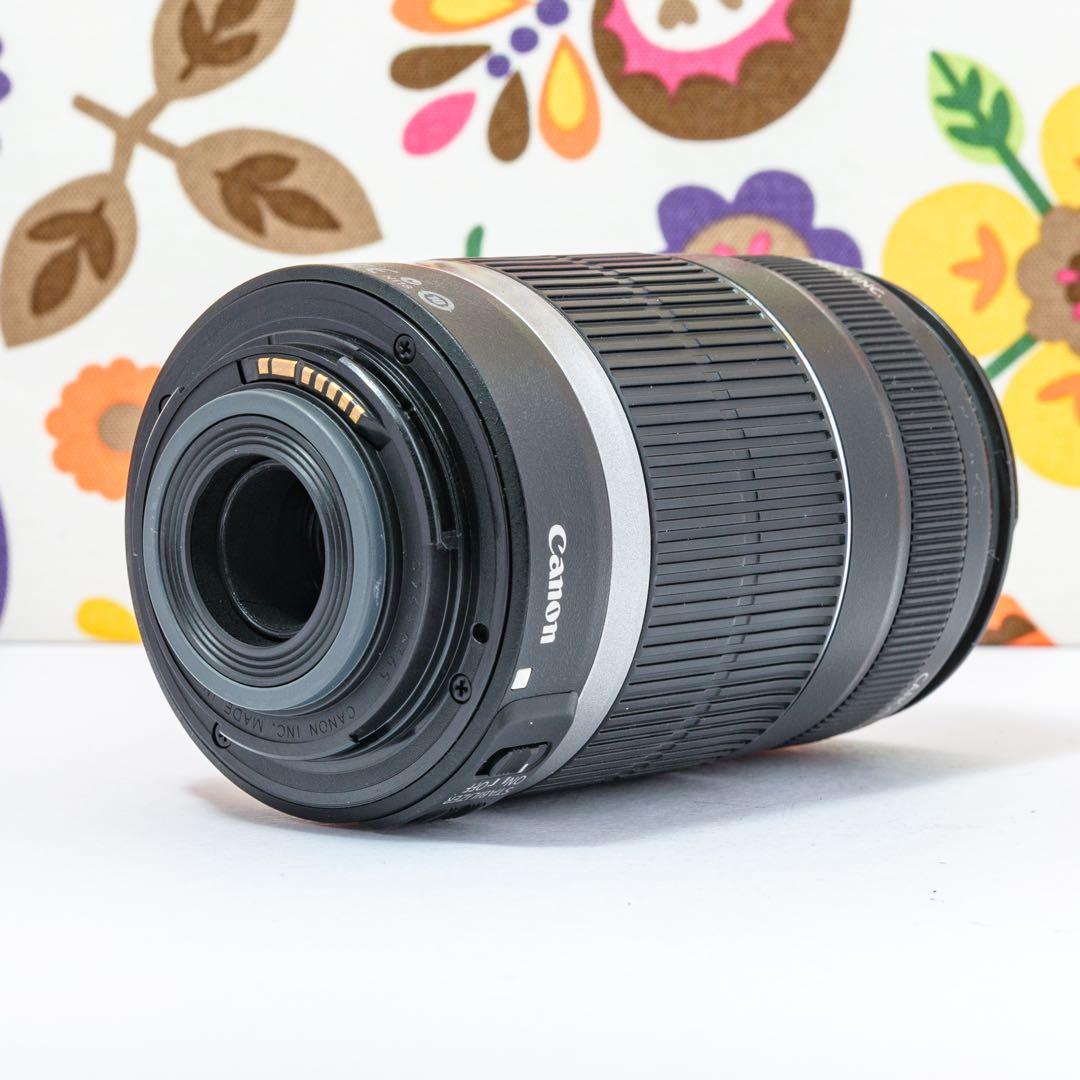⭐️キャノンCanon EF-S 55-250 mm⭐️手ブレ補正望遠レンズ⭐️