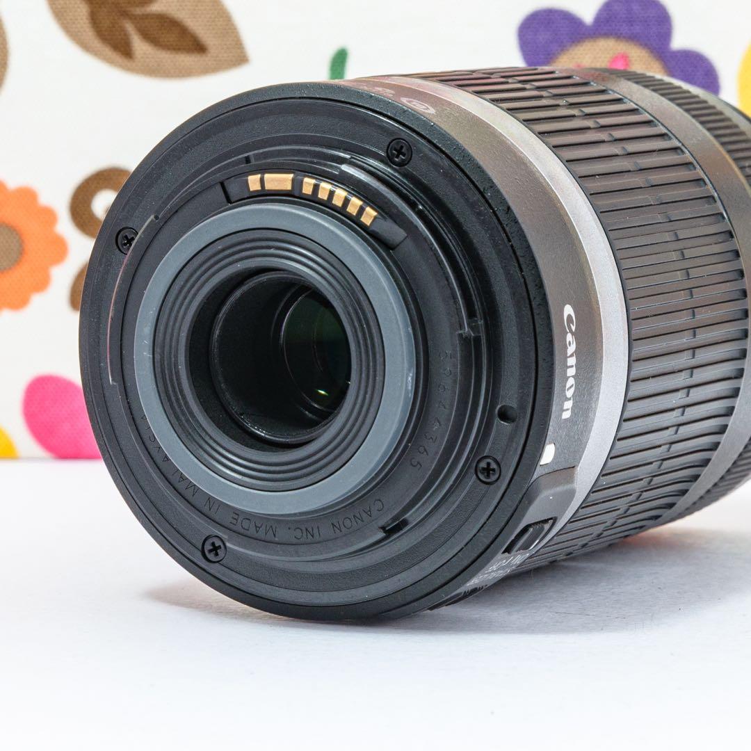⭐️キャノンCanon EF-S 55-250 mm⭐️手ブレ補正望遠レンズ⭐️