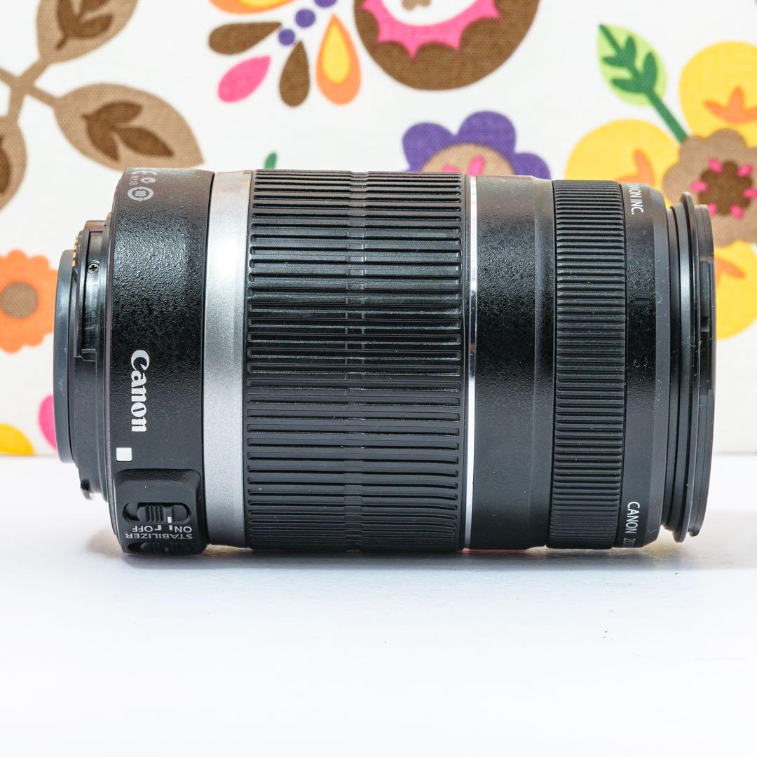 ⭐️キャノンCanon EF-S 55-250 mm⭐️手ブレ補正望遠レンズ⭐️