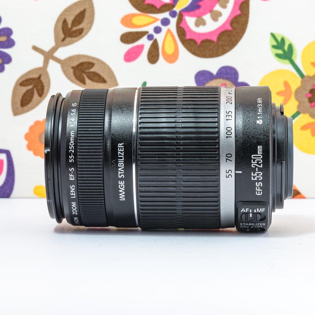 ⭐️キャノンCanon EF-S 55-250 mm⭐️手ブレ補正望遠レンズ⭐️