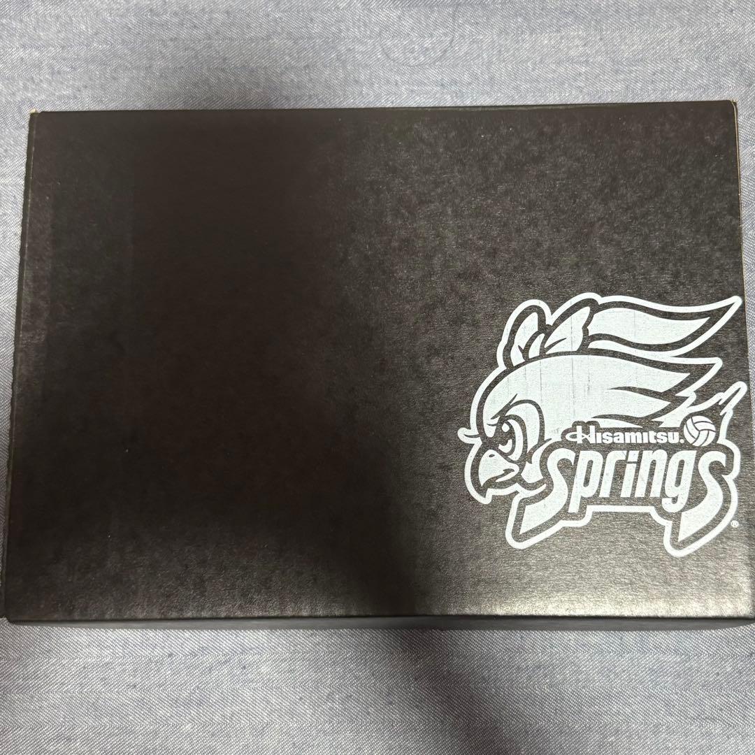 岩坂名奈選手の久光スプリングス全日本代表SVリーグオーセンティック