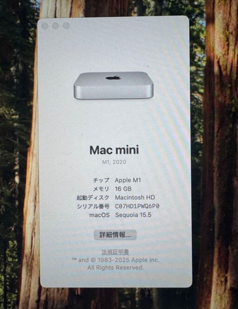 Macデスクトップ Apple Mac mini M1 16GB/1TB
