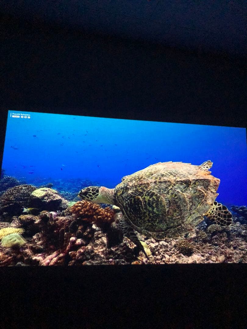 XGIMI MOGO Pro+ 1080pポータブルプロジェクター