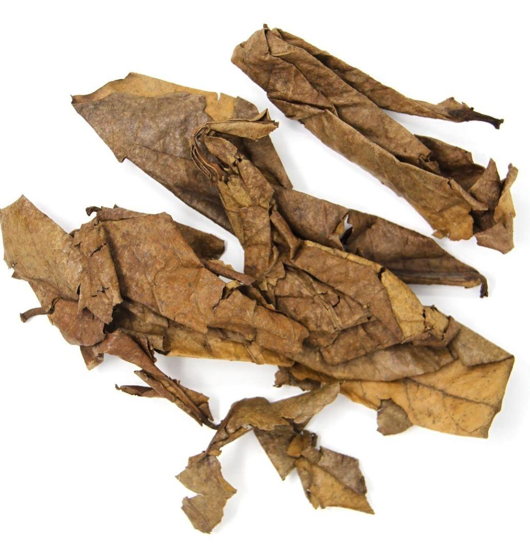 大小様々　無農薬マジックリーフ　天然ももたまな葉　　枚