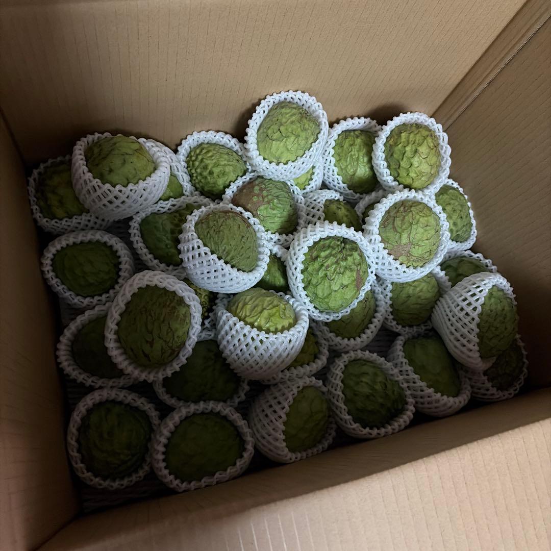 箱番号5.アテモヤ道の駅規格サイズ150g以上を6kg〜　9000円