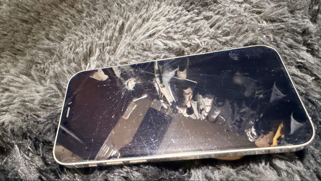 iPhone 12 Pro 256gb SIMフリー