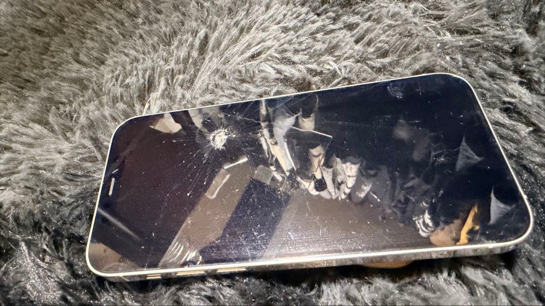 iPhone 12 Pro 256gb SIMフリー