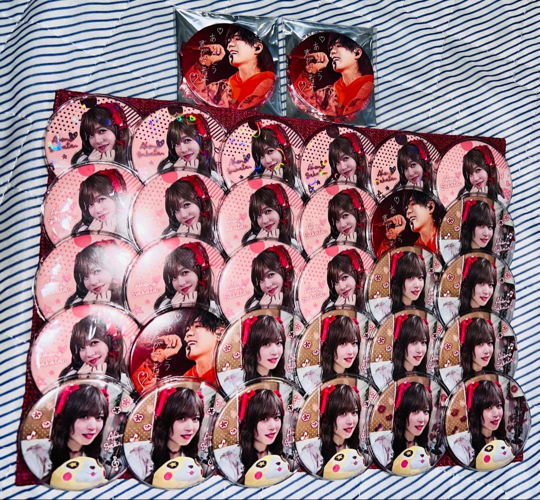 ※最終値下げ15日まで※さかわん缶バッジ あほの坂田。 となりの坂田。