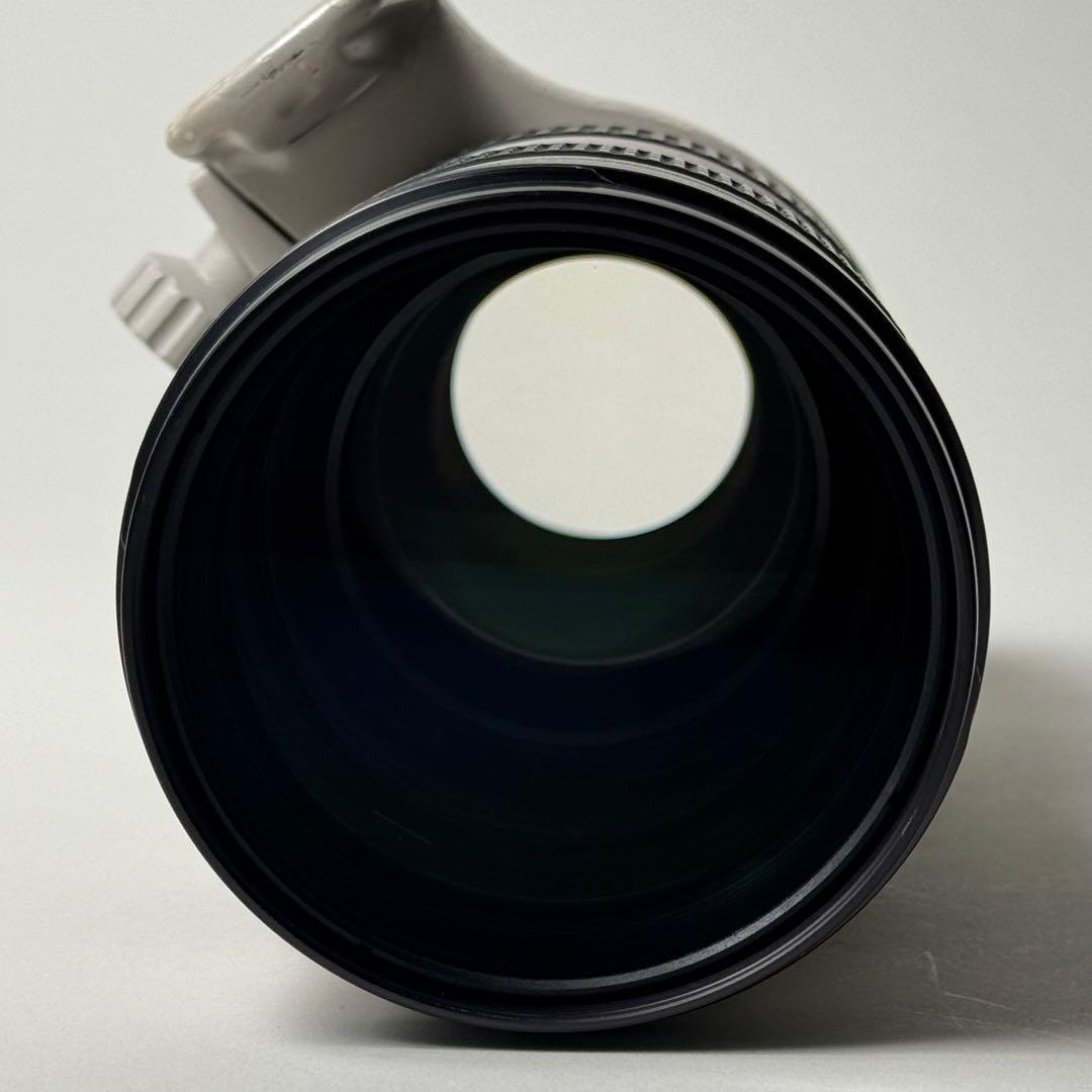 EF 70-200mm f/2.8L USM と2x エクステンダーⅡ型