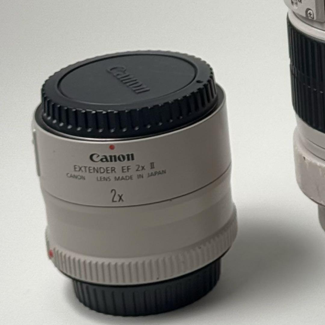 EF 70-200mm f/2.8L USM と2x エクステンダーⅡ型