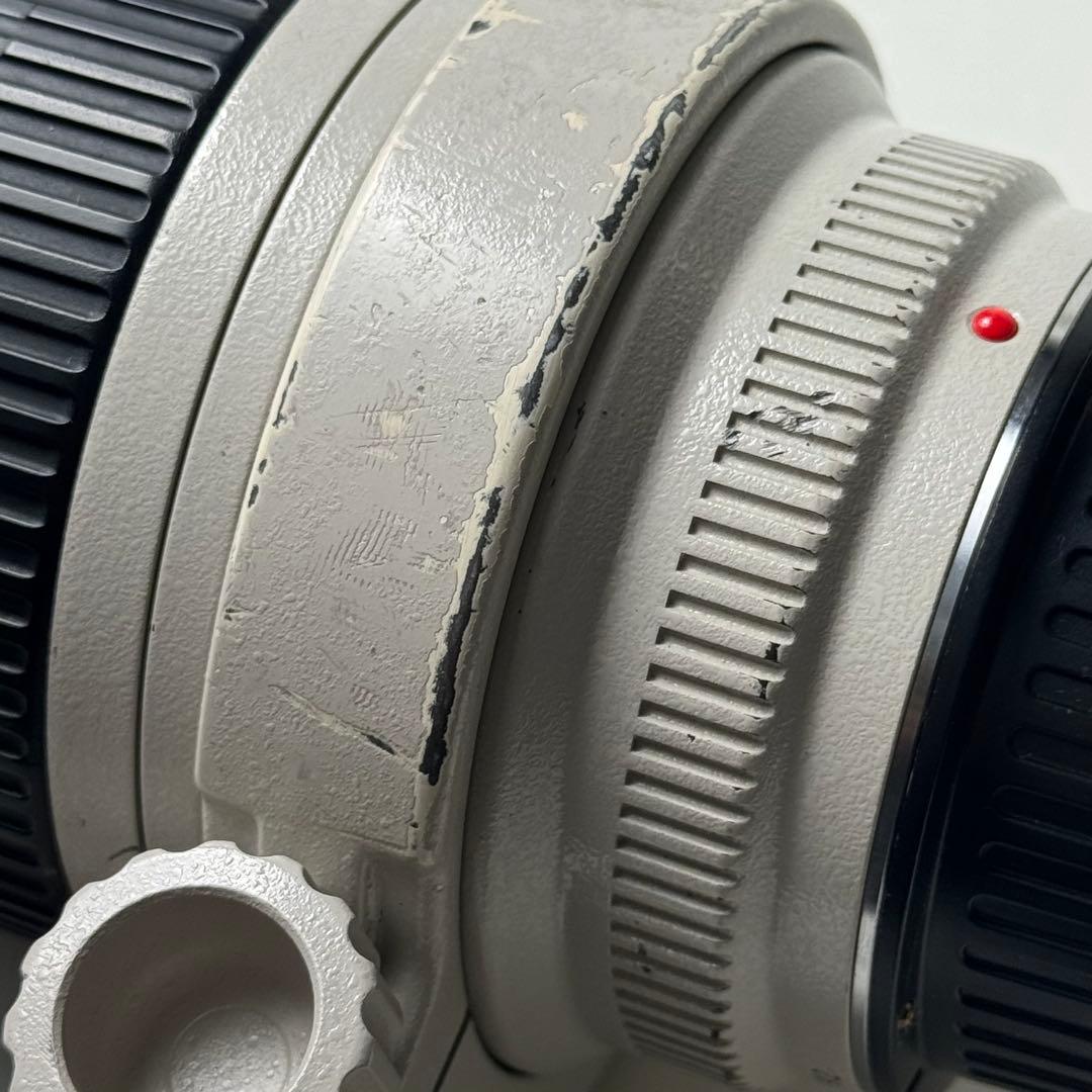 EF 70-200mm f/2.8L USM と2x エクステンダーⅡ型