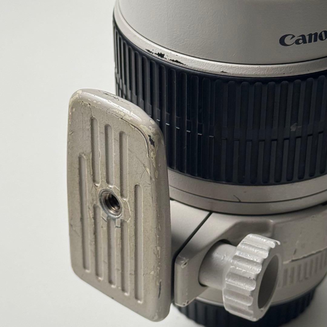 EF 70-200mm f/2.8L USM と2x エクステンダーⅡ型