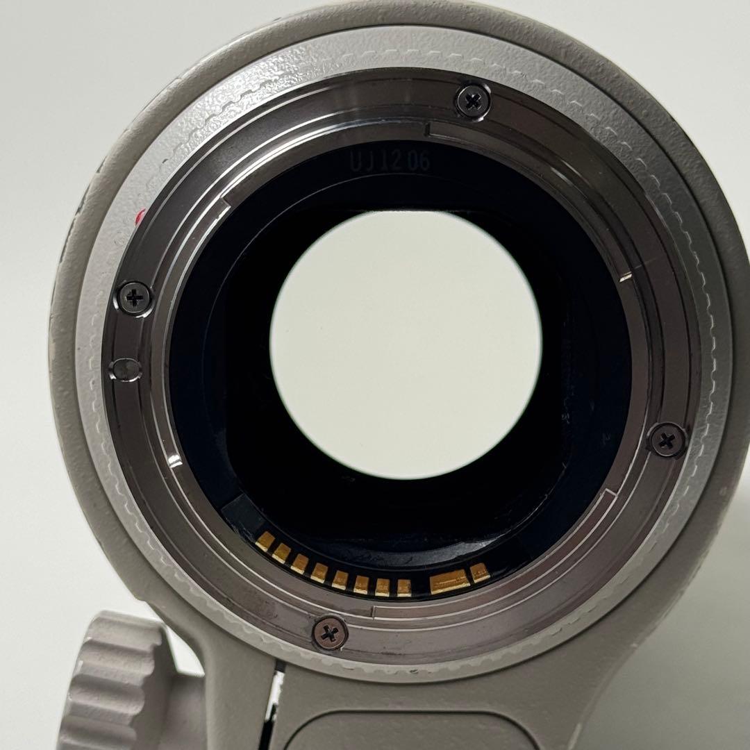 EF 70-200mm f/2.8L USM と2x エクステンダーⅡ型